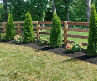 Wooden fence with tall evergreen shrubs and flowering plants along a mulched garden bed beside a lawn Wooden fence with tall evergreen shrubs and flowering plants along a mulched garden bed beside a lawn