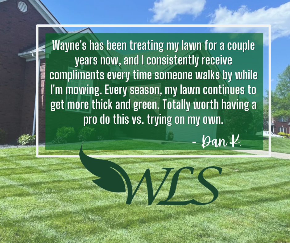 Lawn with white testimonial text overlay and green WCS logo over a landscaped yard