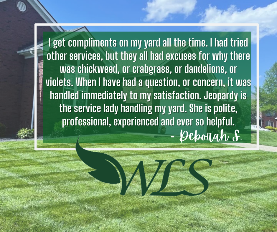 Customer testimonial for WLS lawn care: a quote from Deborah S. praising their service, with a logo over a well-kept lawn.