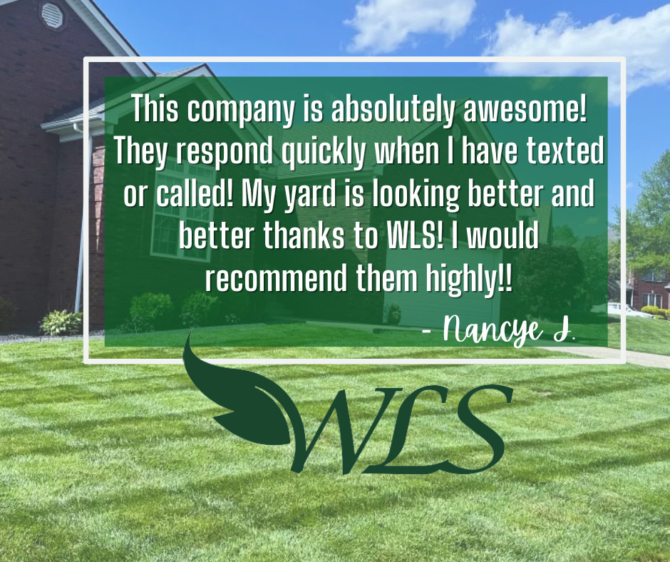 Customer testimonial over a lawn-and-house photo with WLS logo, praising text and landscaping work