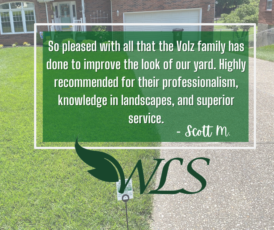 White testimonial sign over lawn and sidewalk for WLS, praising Volz family landscaping service.
