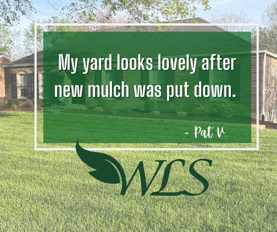 Lawn with text overlay: 