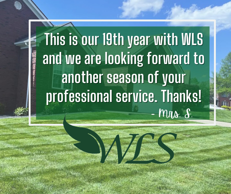 Customer testimonial for WLS lawn service: a green lawn with a house in the background, text overlay praising their 19 years of service.