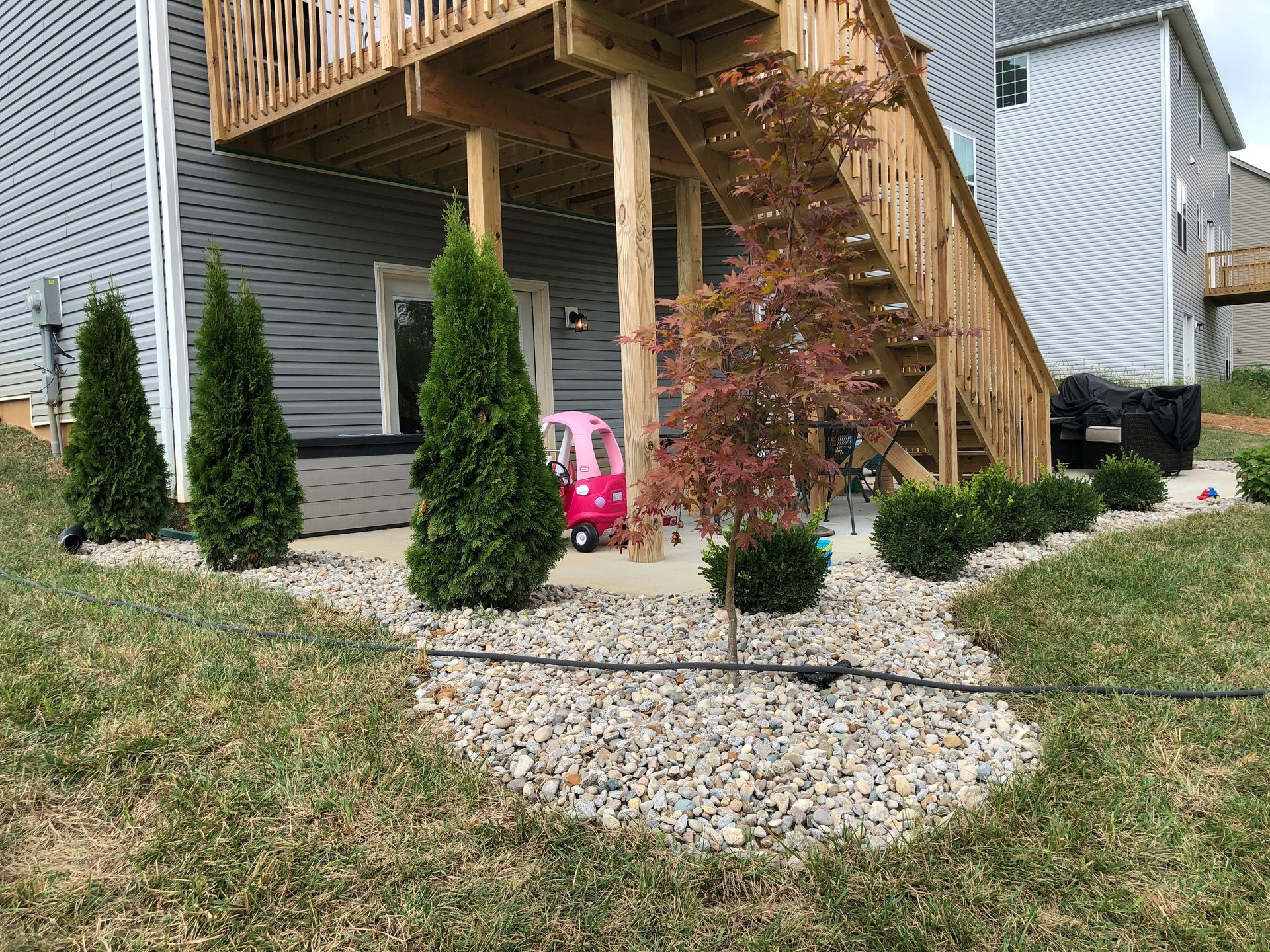 Backyard landscaping with evergreens and a small red tree next to a deck with stairs. A black irrigation line runs along the ground.