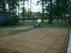 Person mowing a grassy park with a green ride-on mower near trees