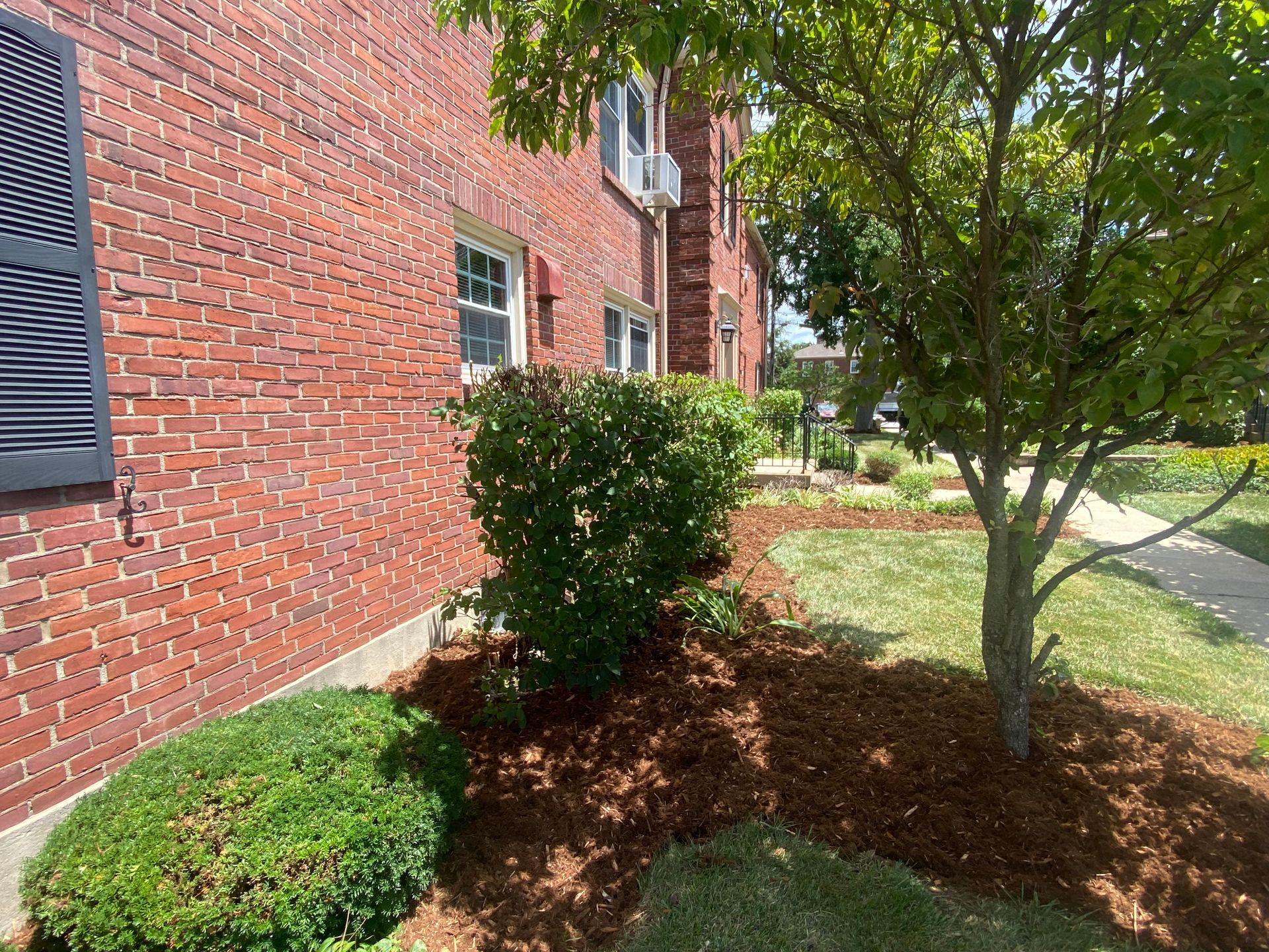 Brick building exterior with dark shutters, surrounded by mulch and greenery, and a tree on the right side.