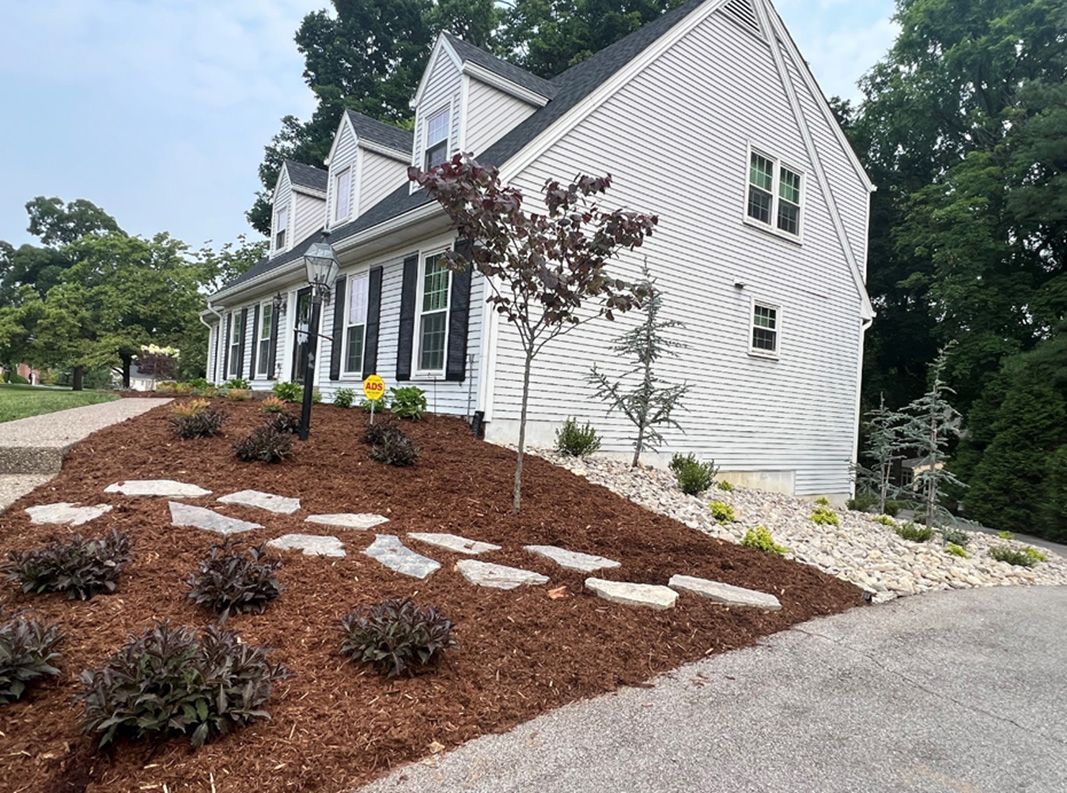 White house with black shutters and a landscaped front yard with a stone path and mulch.