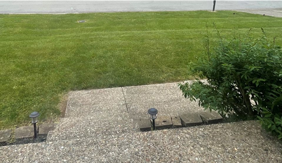 Concrete steps leading to a grassy lawn. Two solar lights are visible on the steps. A green bush is on the right.