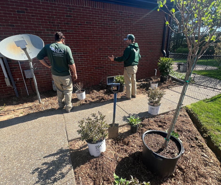 Two people in green shirts and khaki pants plant shrubs near a brick building and sidewalk.
