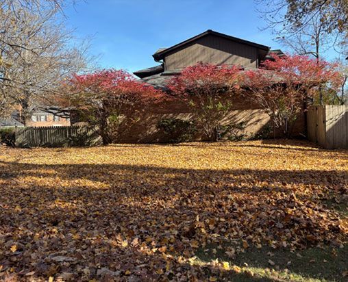 Yard covered in fallen leaves, with a house and red-leafed bushes in the background on a sunny day. Yard covered in fallen leaves, with a house and red-leafed bushes in the background on a sunny day.