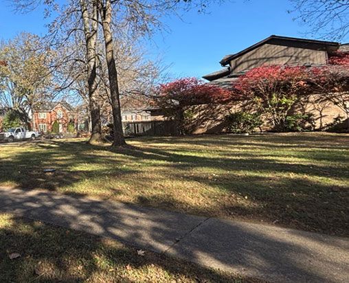 Grassy yard with trees and buildings under a blue sky, sunlight casts shadows. Grassy yard with trees and buildings under a blue sky, sunlight casts shadows.