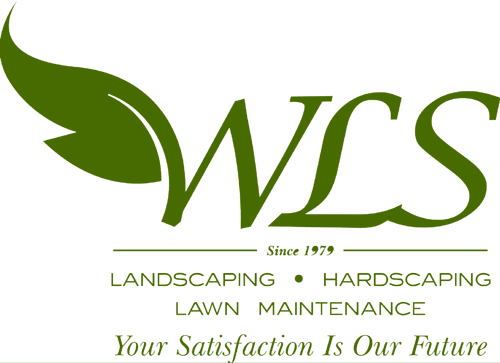 Wayne's Lawn Services Logo for WLS, a landscaping company. It features a green leaf, the letters