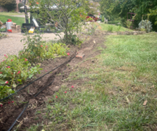 Black irrigation tubing runs along a flower bed's edge next to grass; a sunny day. Black irrigation tubing runs along a flower bed's edge next to grass; a sunny day.