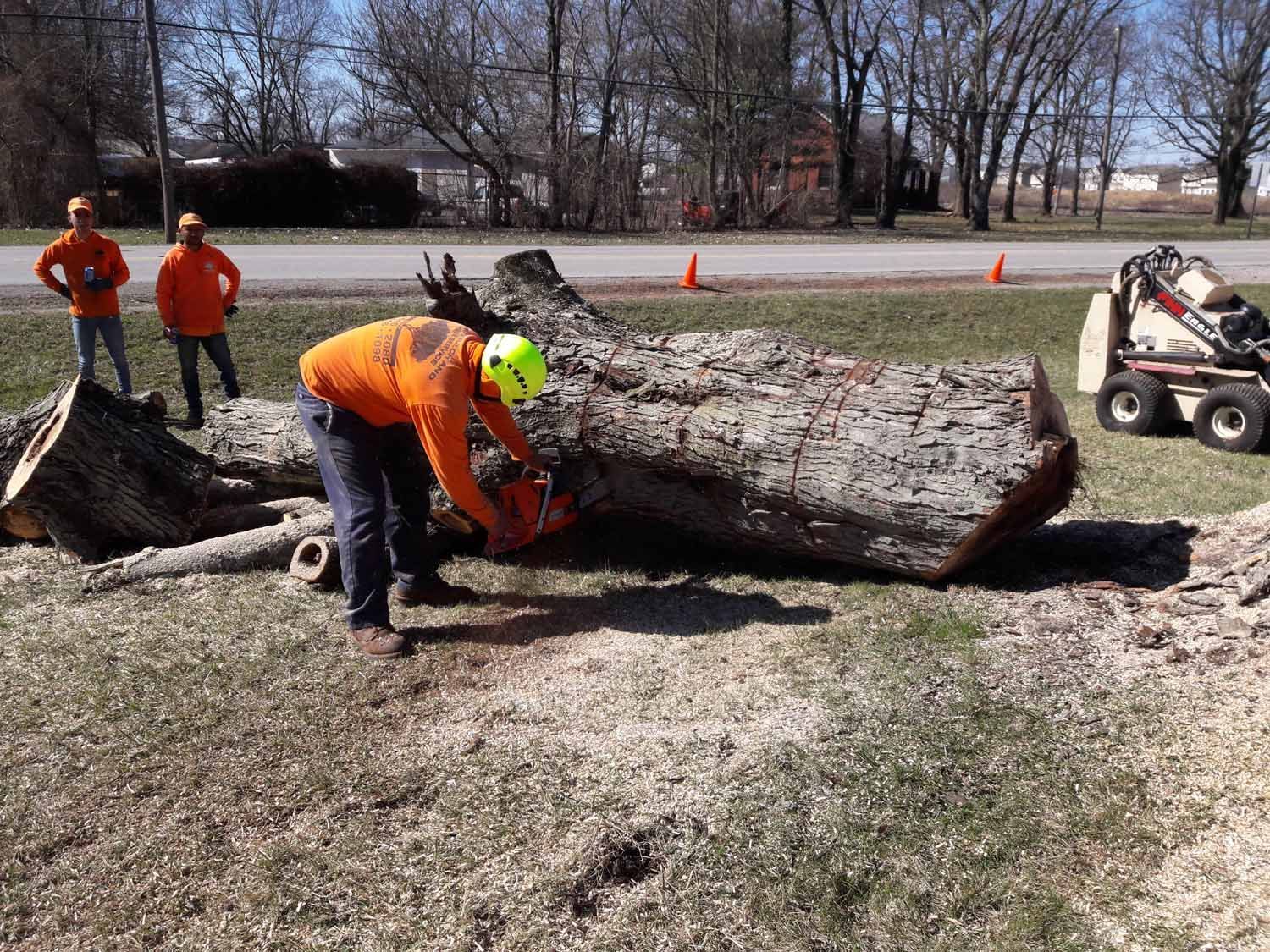 A man is cutting a large tree stump with a chainsaw.
