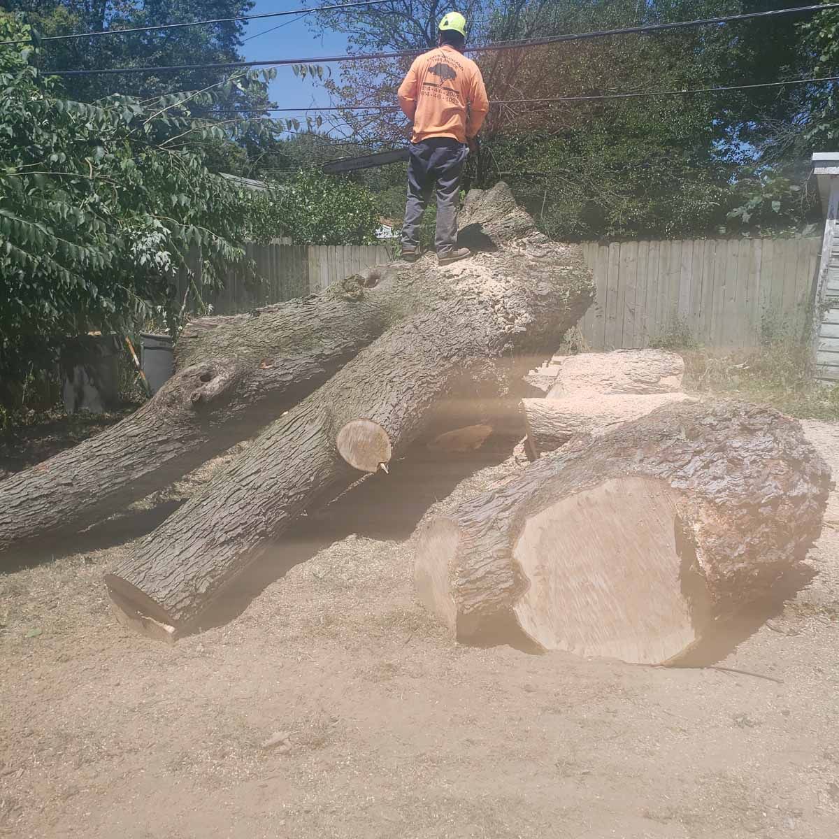 A man is standing on top of a pile of logs.