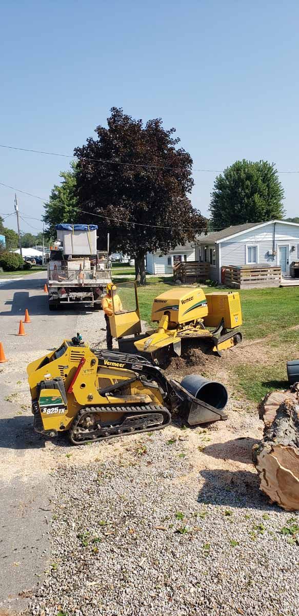 A stump grinder is being used to remove a tree stump.