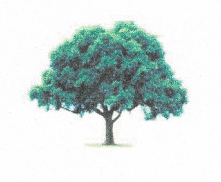 Pros Mulch & Tree Service Pros Mulch & Tree Service