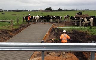 A Man Is Working On A Road In A Field With Cows In The Background – Warrnambool, VIC - McKinnon Quarries & Civil