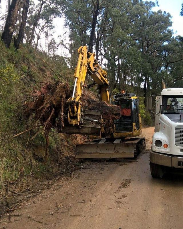 A Yellow Excavator Is Carrying A Large Tree Stump On A Dirt Road – Warrnambool, VIC - McKinnon Quarries & Civil