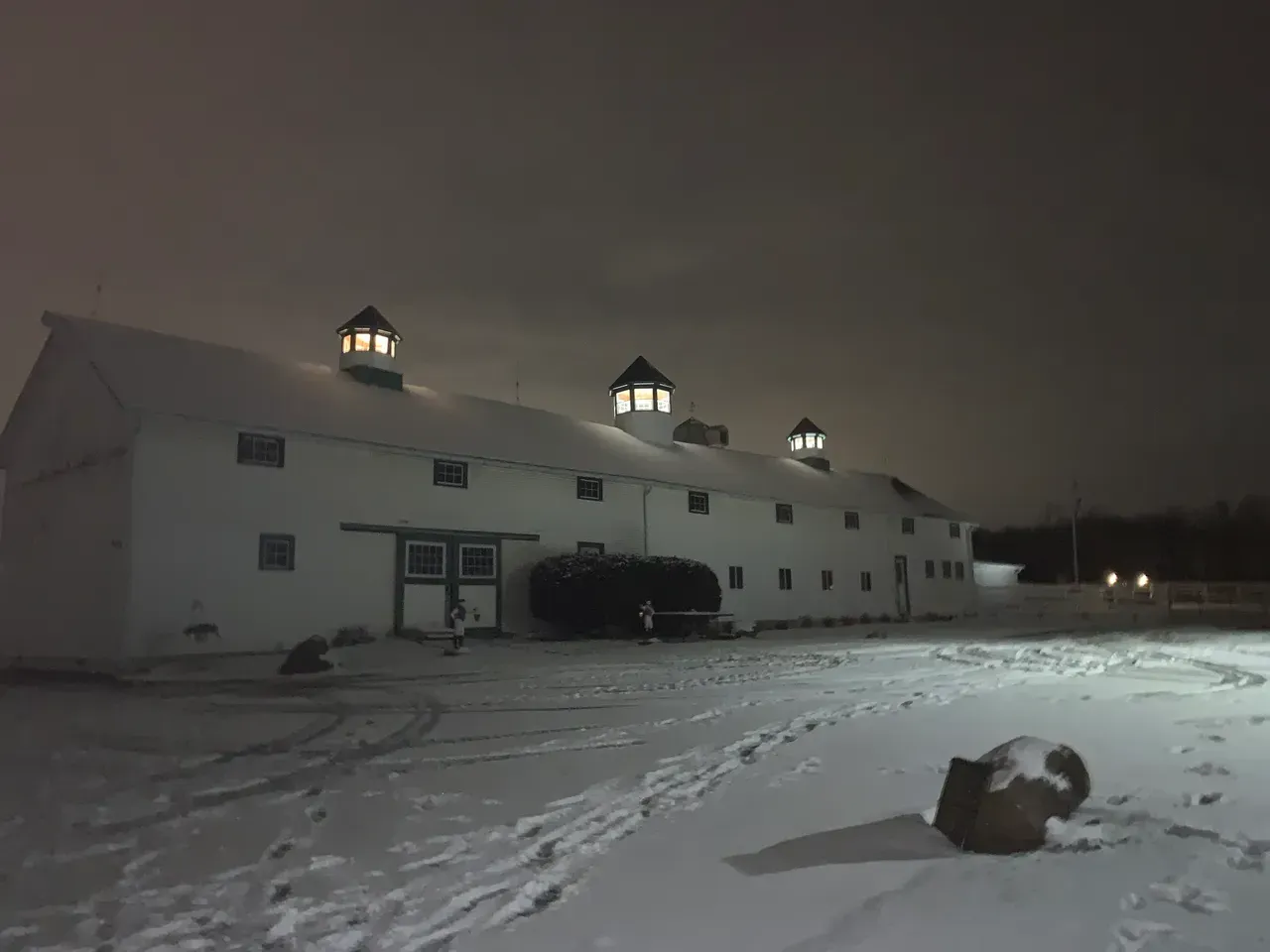 Buckeye Stallion Station in Ohio near Kentucky Horse farm Stallions for mare breeding