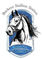 Buckeye Stallion Station Logo Hubbard oh