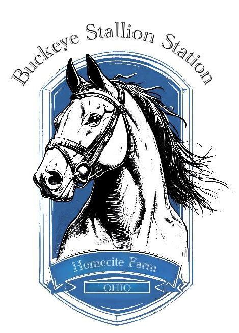 Buckeye Stallion Station Logo Hubbard oh