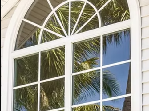 A white window with a palm tree reflection in it