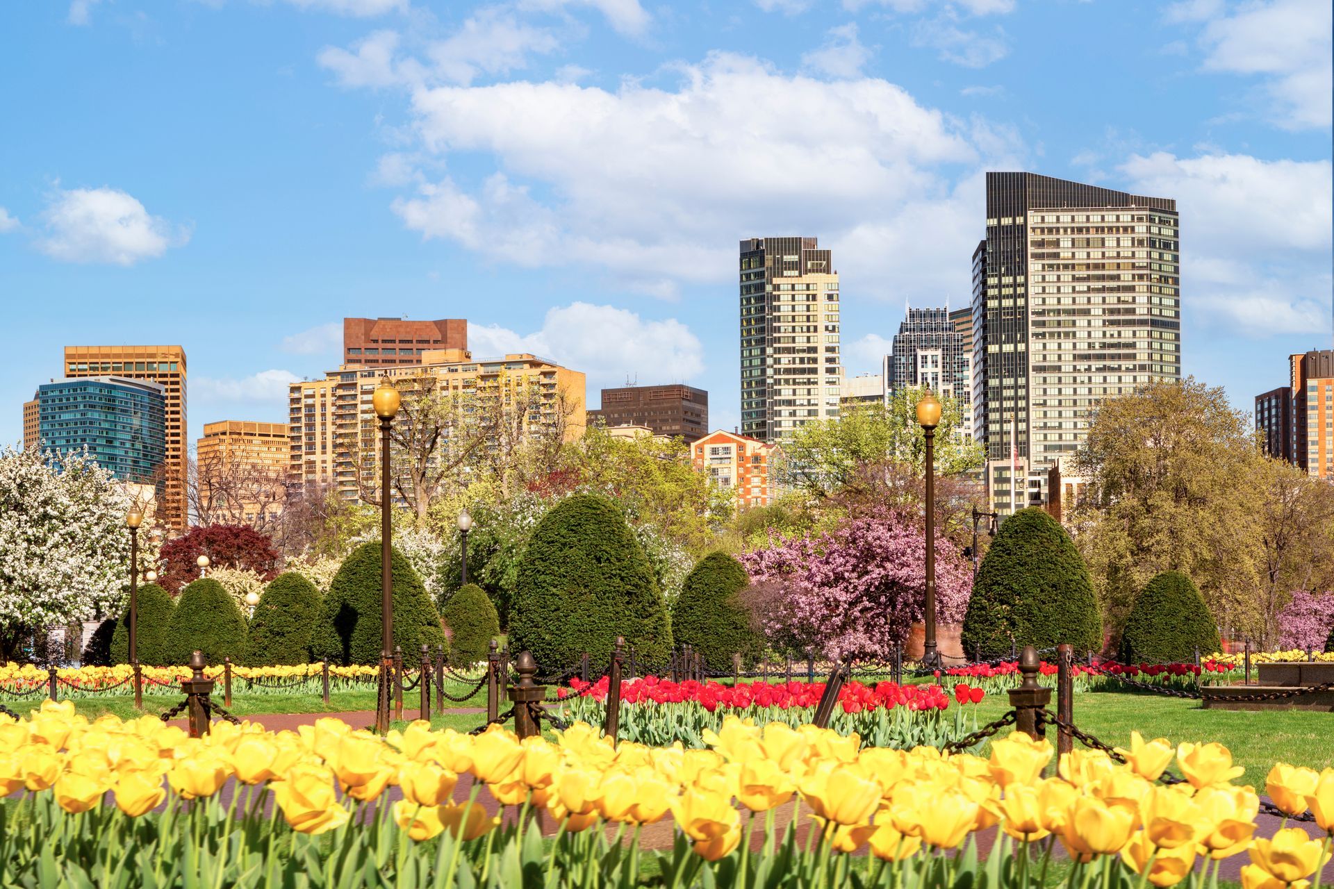 City skyline behind a park with blooming tulips and pink trees under a blue sky