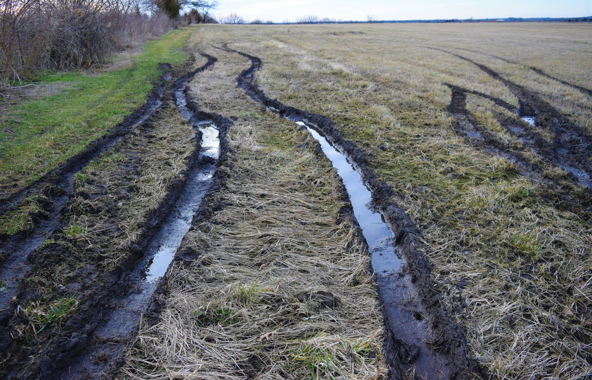 A muddy field with tire tracks in it.