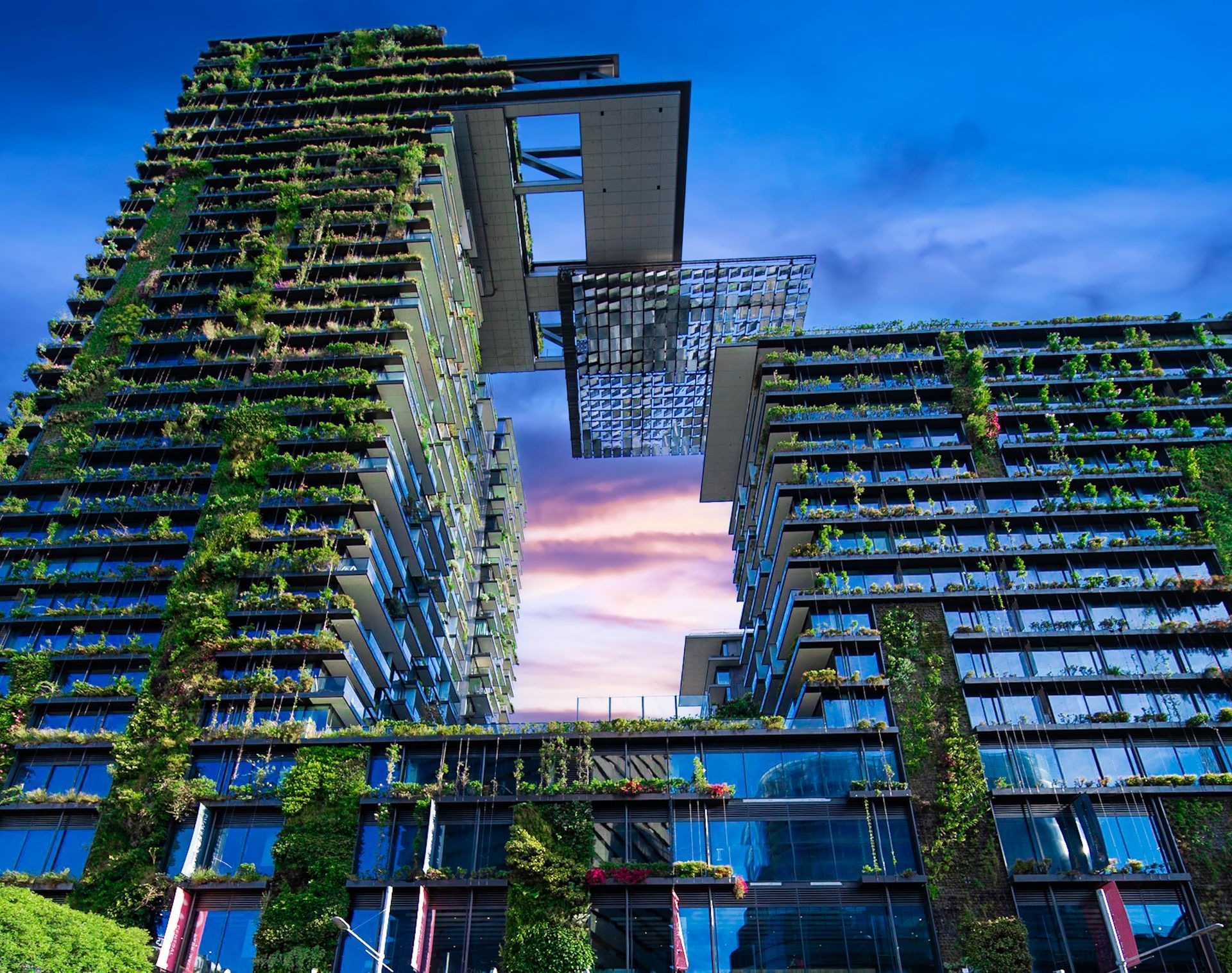 Modern green-covered high-rise buildings with a skybridge against a blue sunset sky