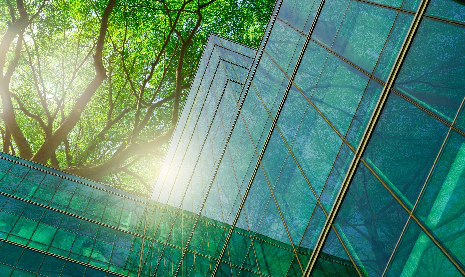 Modern glass building with green tint, set against a backdrop of sunlit, lush green trees.