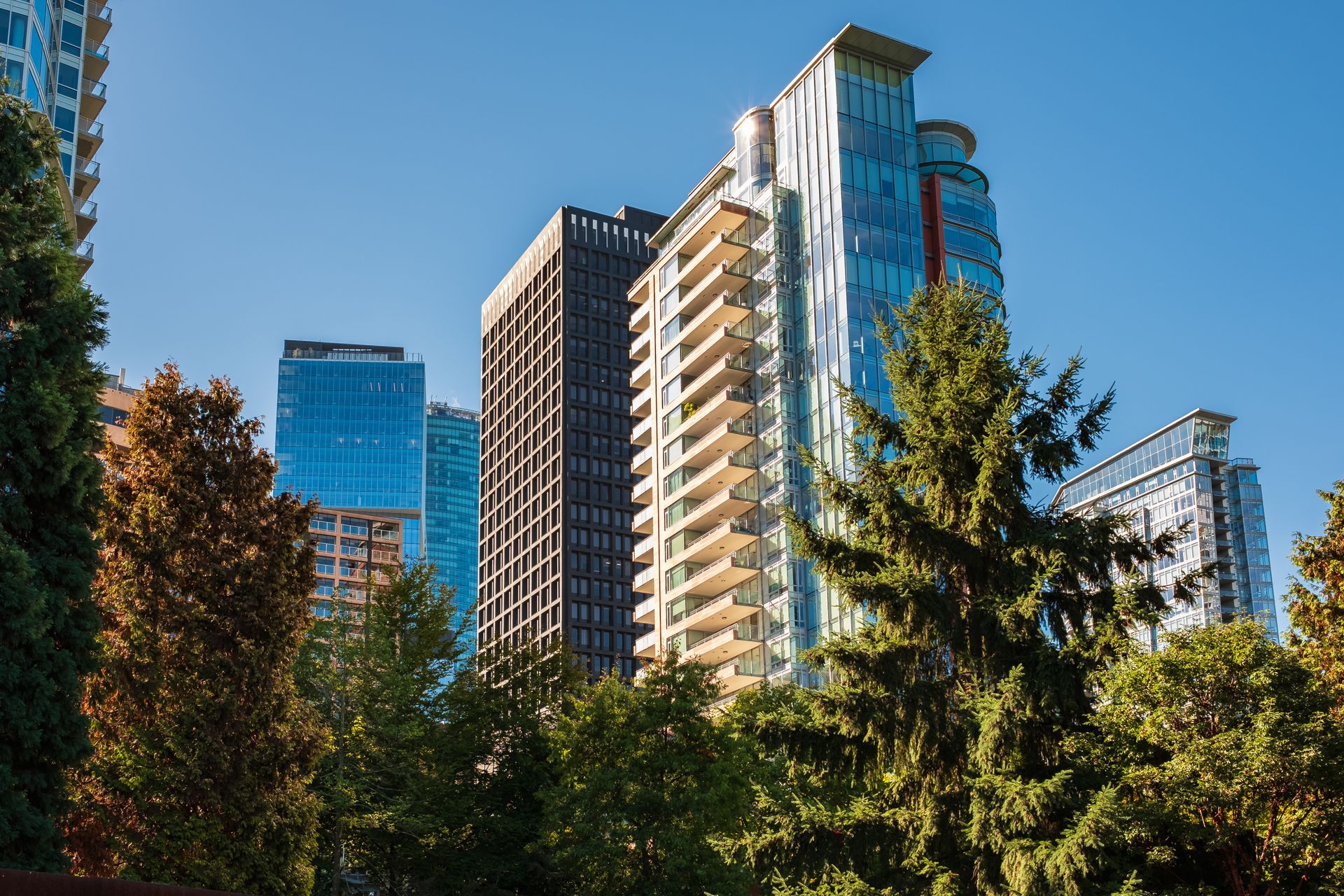 Modern city skyscrapers behind leafy green trees under a clear blue sky