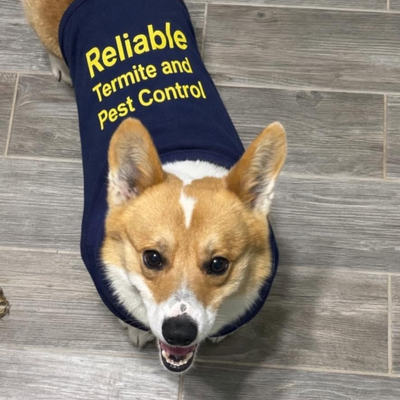 Sir Reginald "Reggie" Walters
