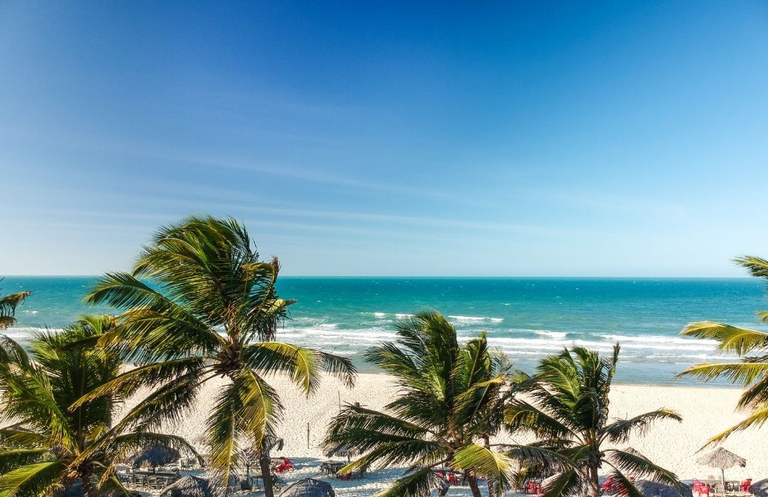 Palmeiras ao longo de uma praia de areia clara com oceano turquesa e céu azul.