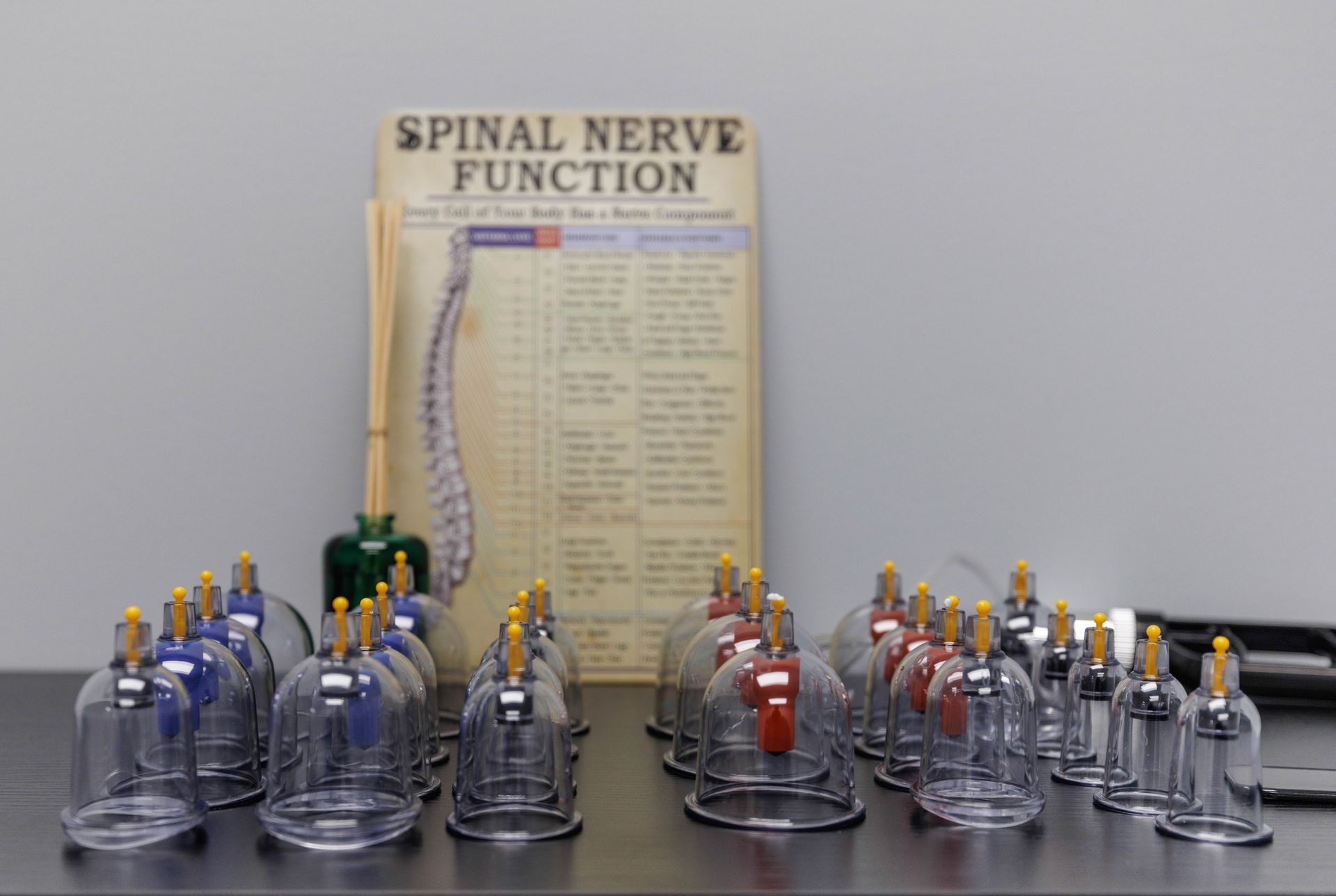 a table with cupping cups and a spinal nerve function chart