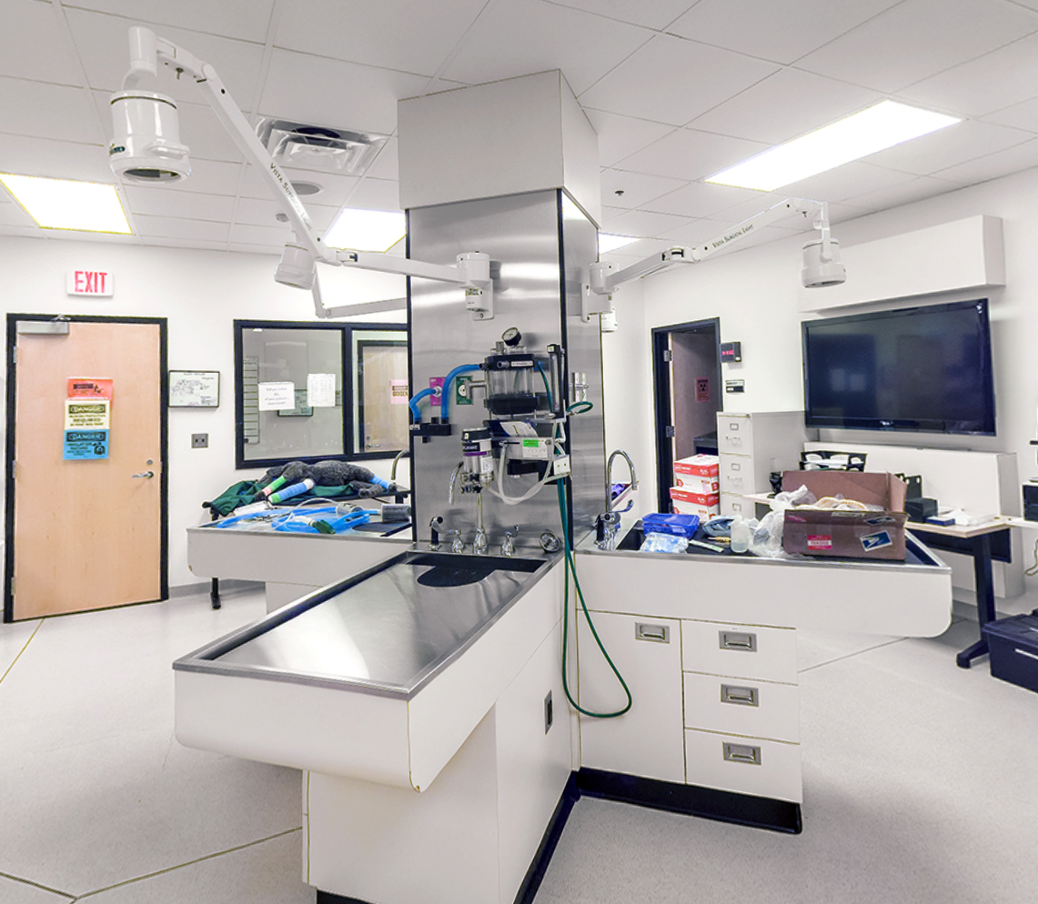 A&A Engineering - Medical Education Facility in Canton, OH image 3