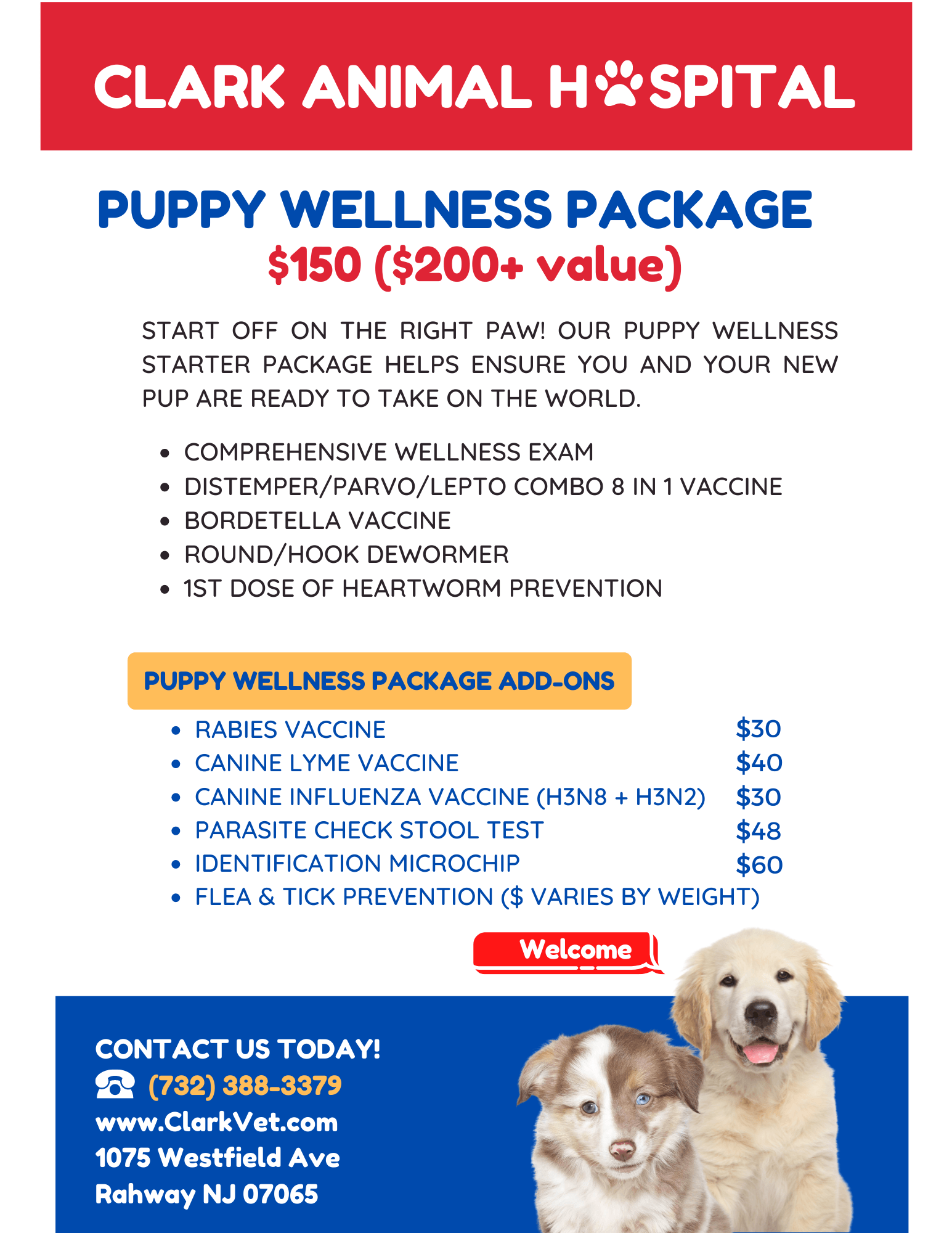 Animal News Rahway, NJ Clark Animal Hospital
