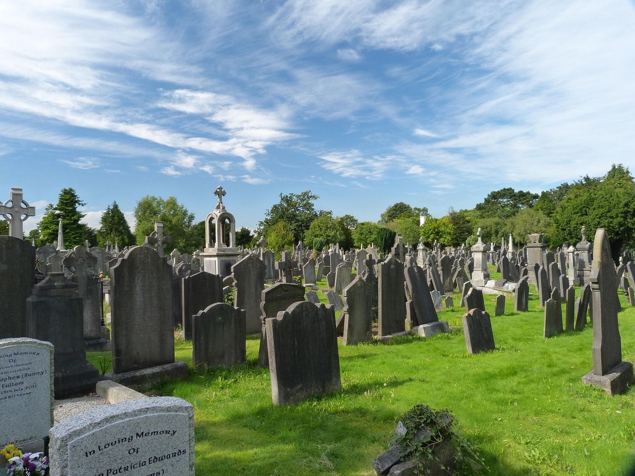 Picture of a cemetery with several headstones, on a sunny day