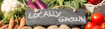 Fresh Market — Locally Grown Fruits & Vegetables in Easley, SC Fresh Market — Locally Grown Fruits & Vegetables in Easley, SC