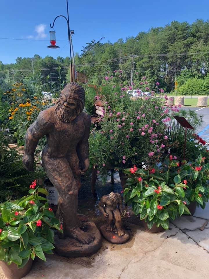 Garden Supplies — Gardening in Easley, SC Garden Supplies — Gardening in Easley, SC