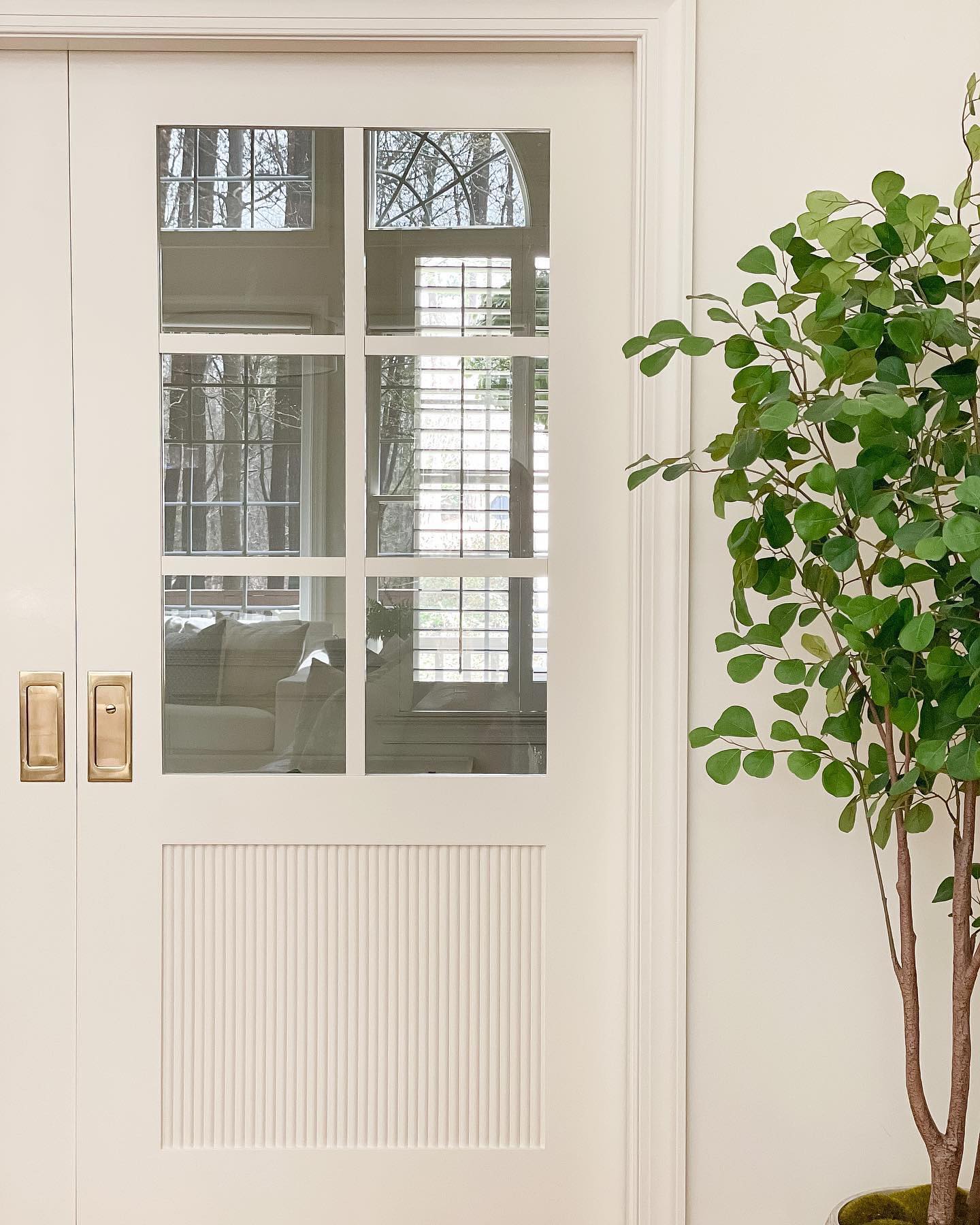 A white door with a plant in front of it
