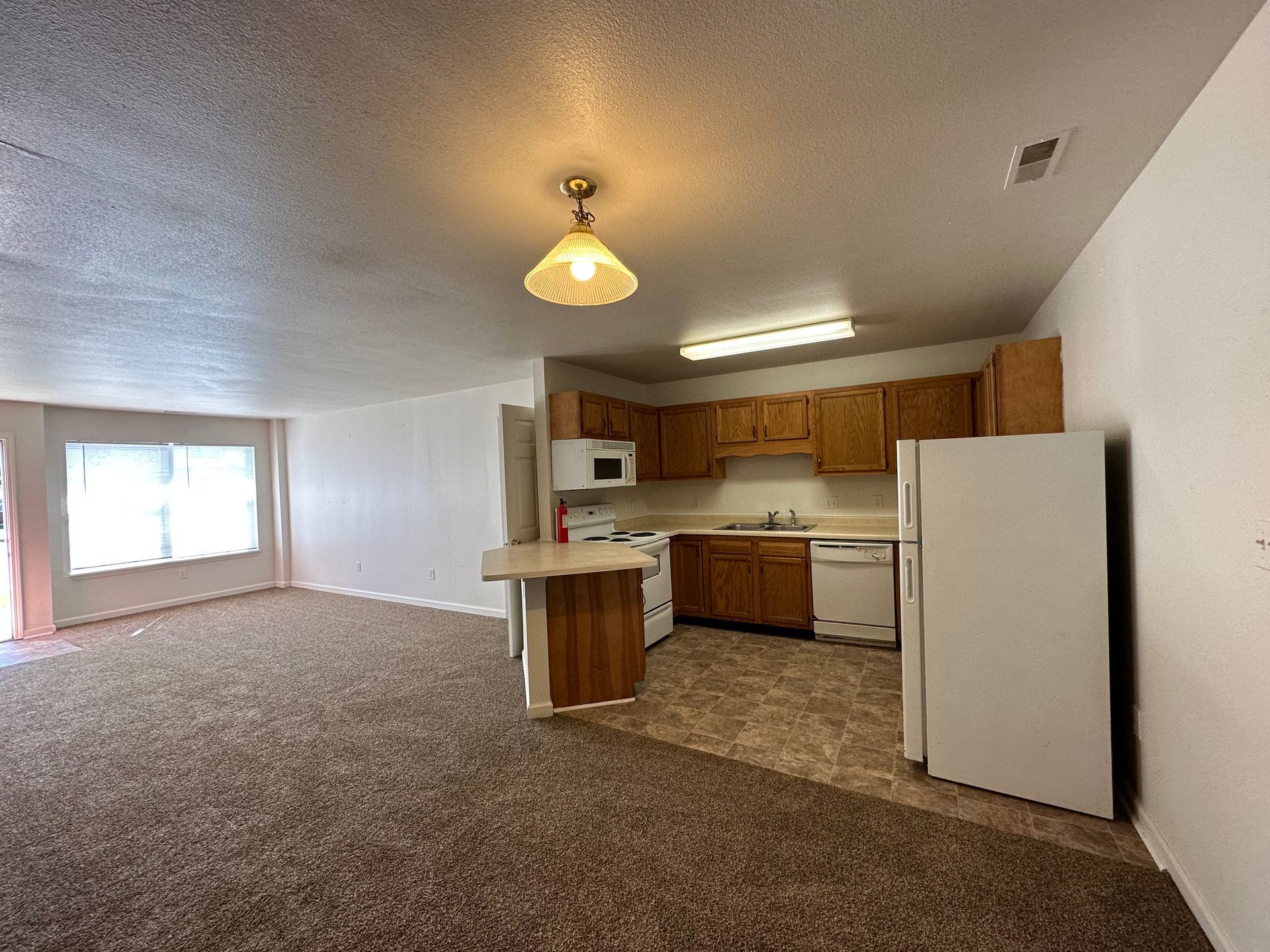 Open living room and kitchen area