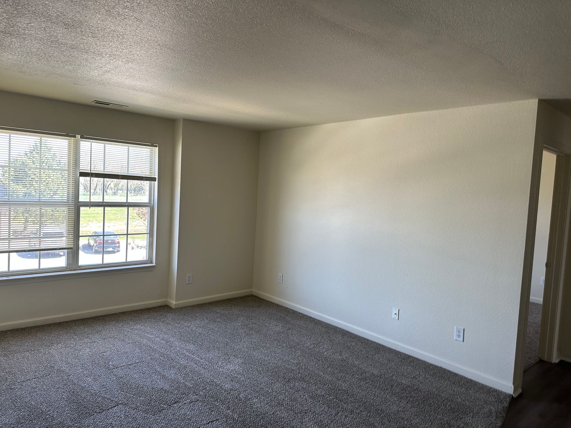 living room window