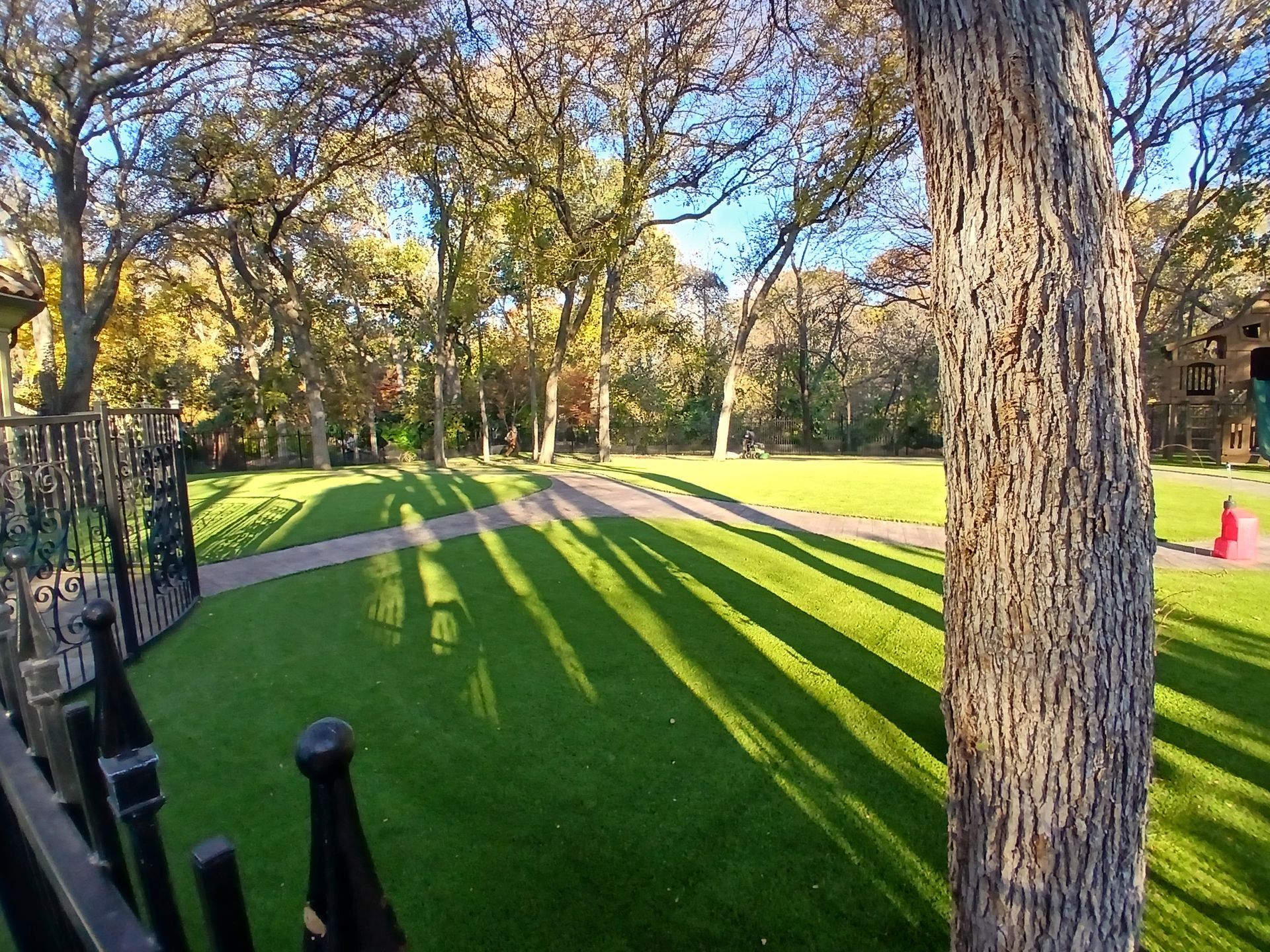 Sunny park lawn with long tree shadows, a path, and a black fence on the left