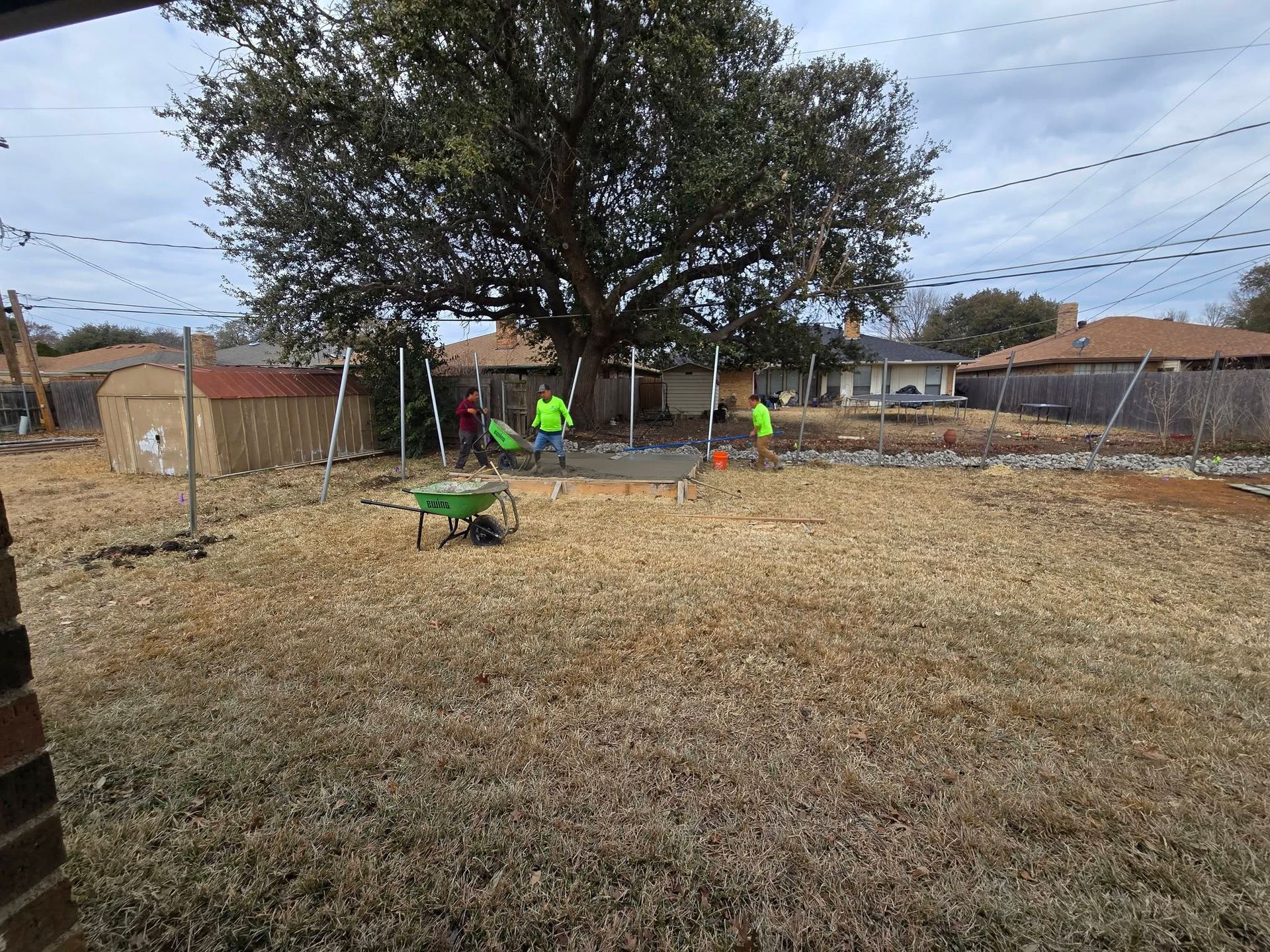 Backyard with dry grass, large tree, and workers in neon shirts near a fence and wheelbarrow