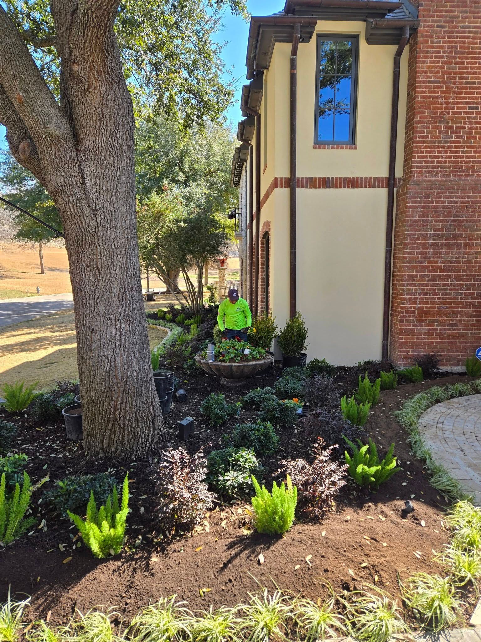 Landscaped corner beside a brick building with a tree, mulch, and small green plants.