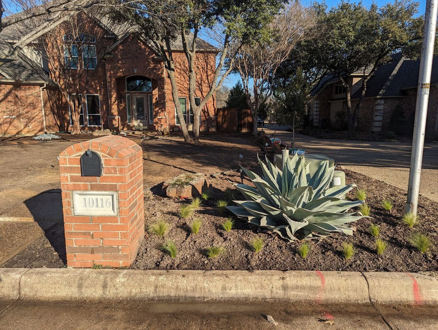 Brick house and front yard with a mailbox, agave plant, and tree-lined sidewalk in bright daylight