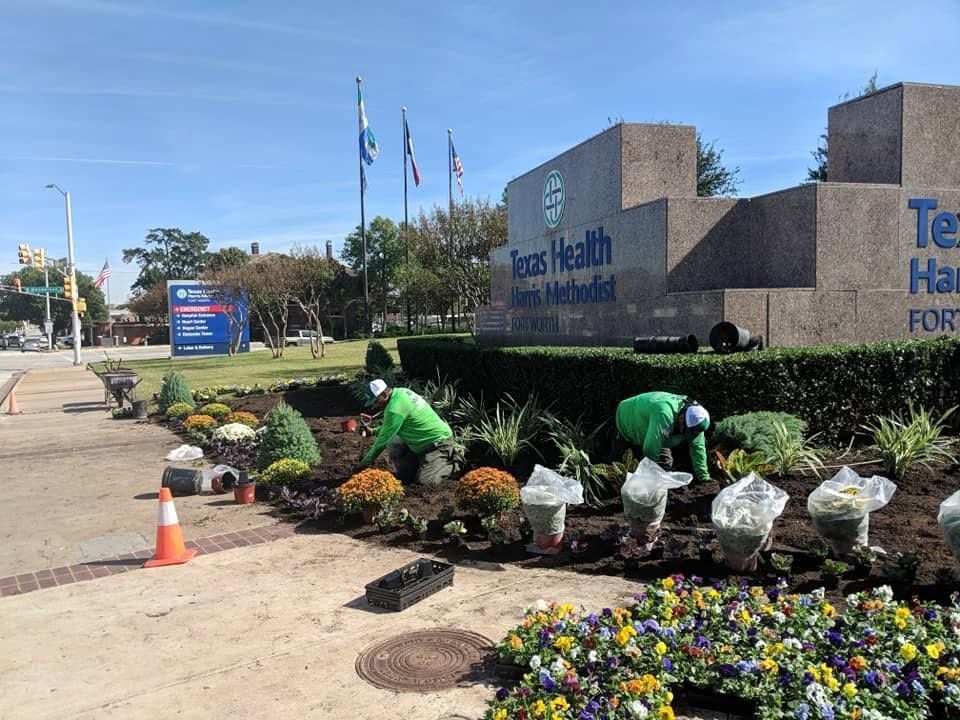 Workers in green uniforms planting flowers outside a hospital entrance.