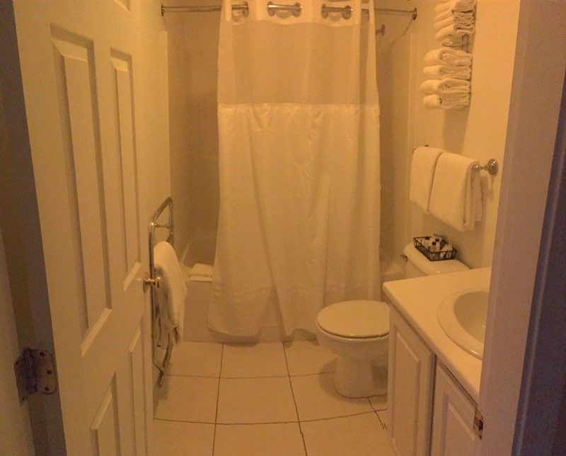A bathroom with a toilet a sink and a shower curtain