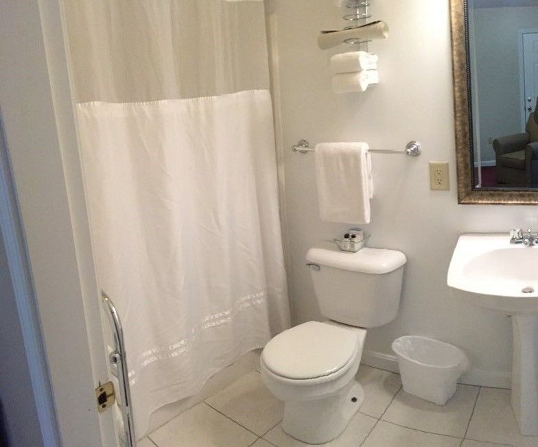 A bathroom with a toilet , sink and shower curtain